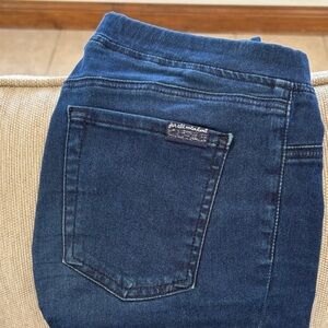 7 for all Mankind Indigo Stretch Jeggings with Clean Back Pocket